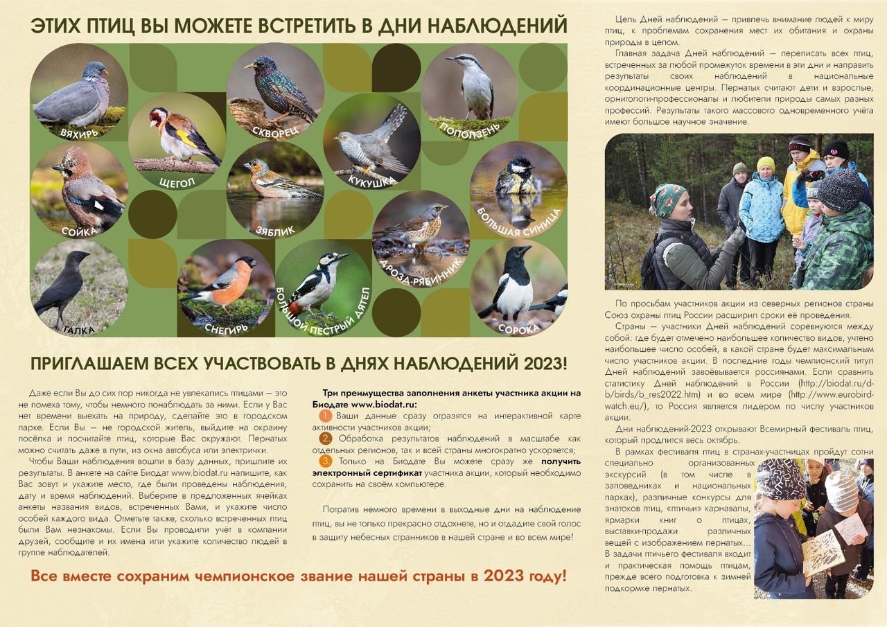 Союз охраны птиц России приглашает к участию во Всемирных Днях наблюдений птиц-2023