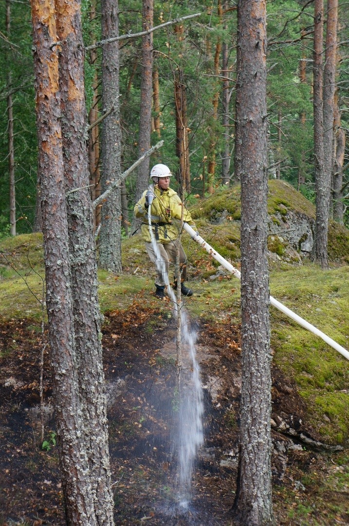В Национальном парке "Ладожские шхеры" завершилась работа конференции и тренинг-семинара по вопросам борьбы с пожарами