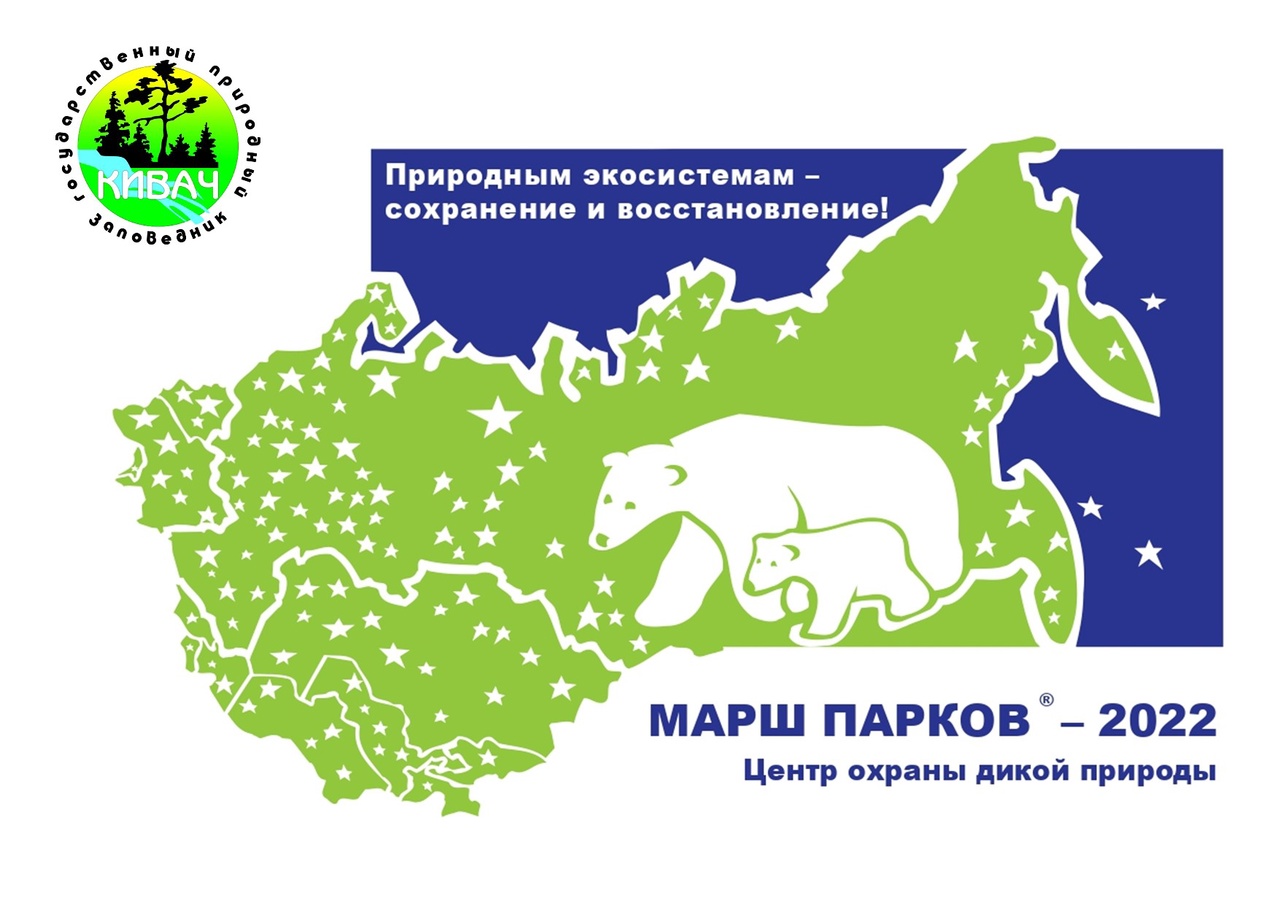 Национальный парк "Ладожские шхеры" приглашает принять участие в детском конкурсе