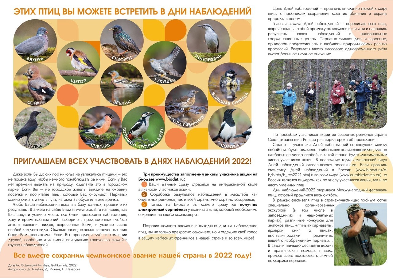 Международные Дни наблюдений птиц состоятся с 24 сентября по 2 октября 2022 года