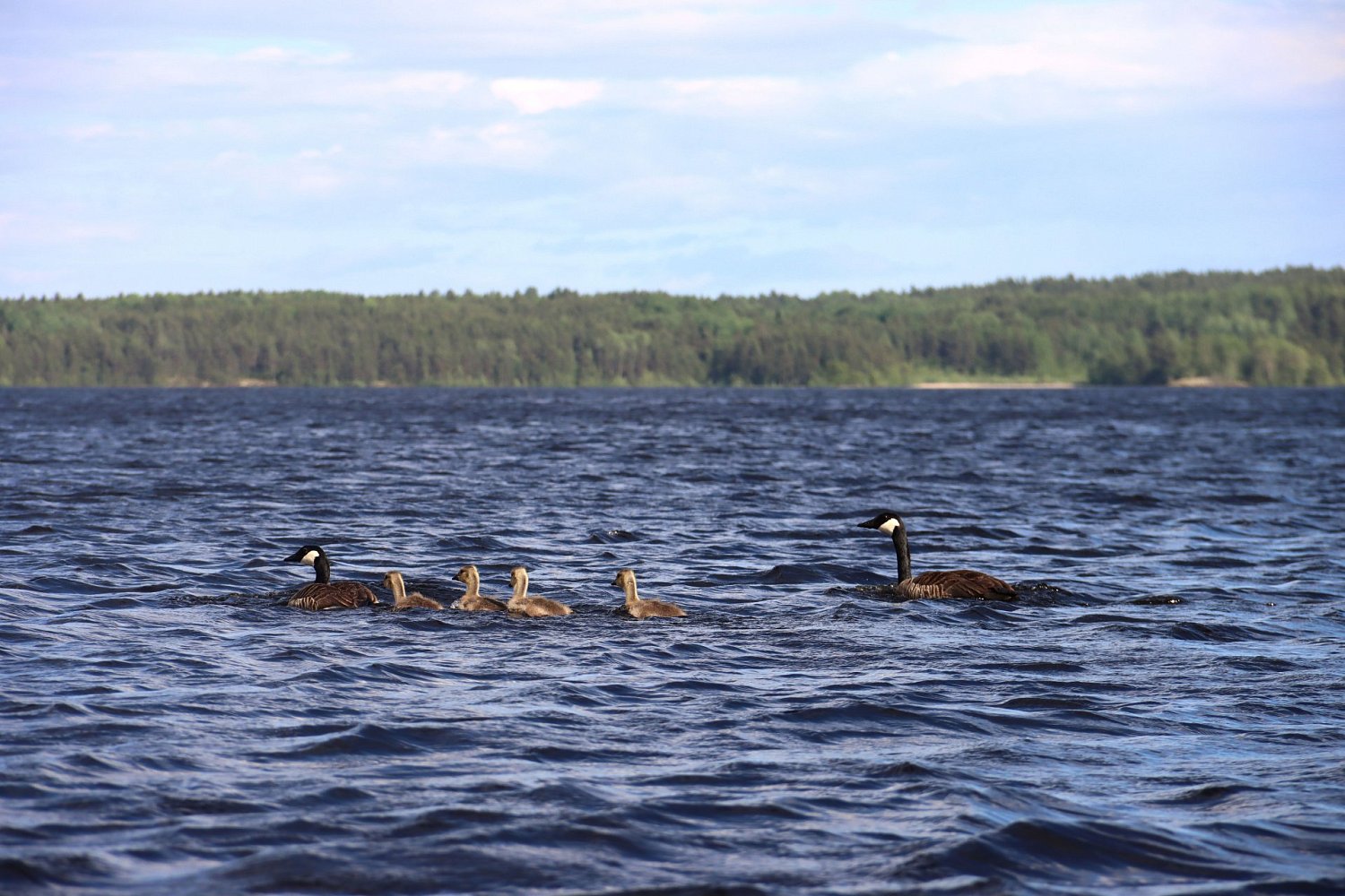 Остров Тулолансаари