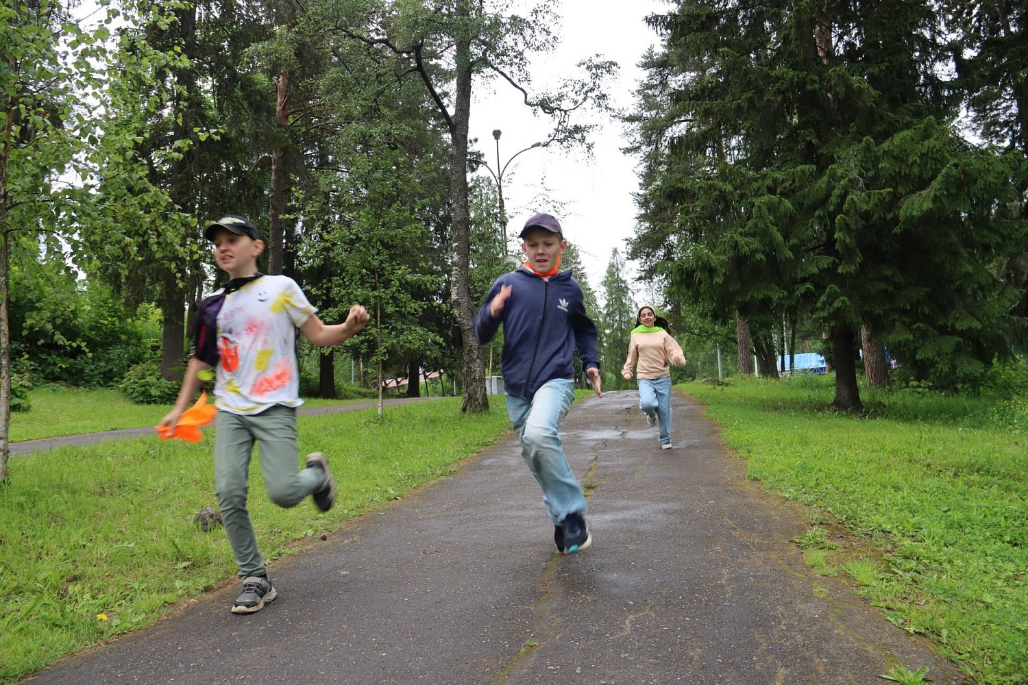 Лето, парк и "Ладожские шхеры"