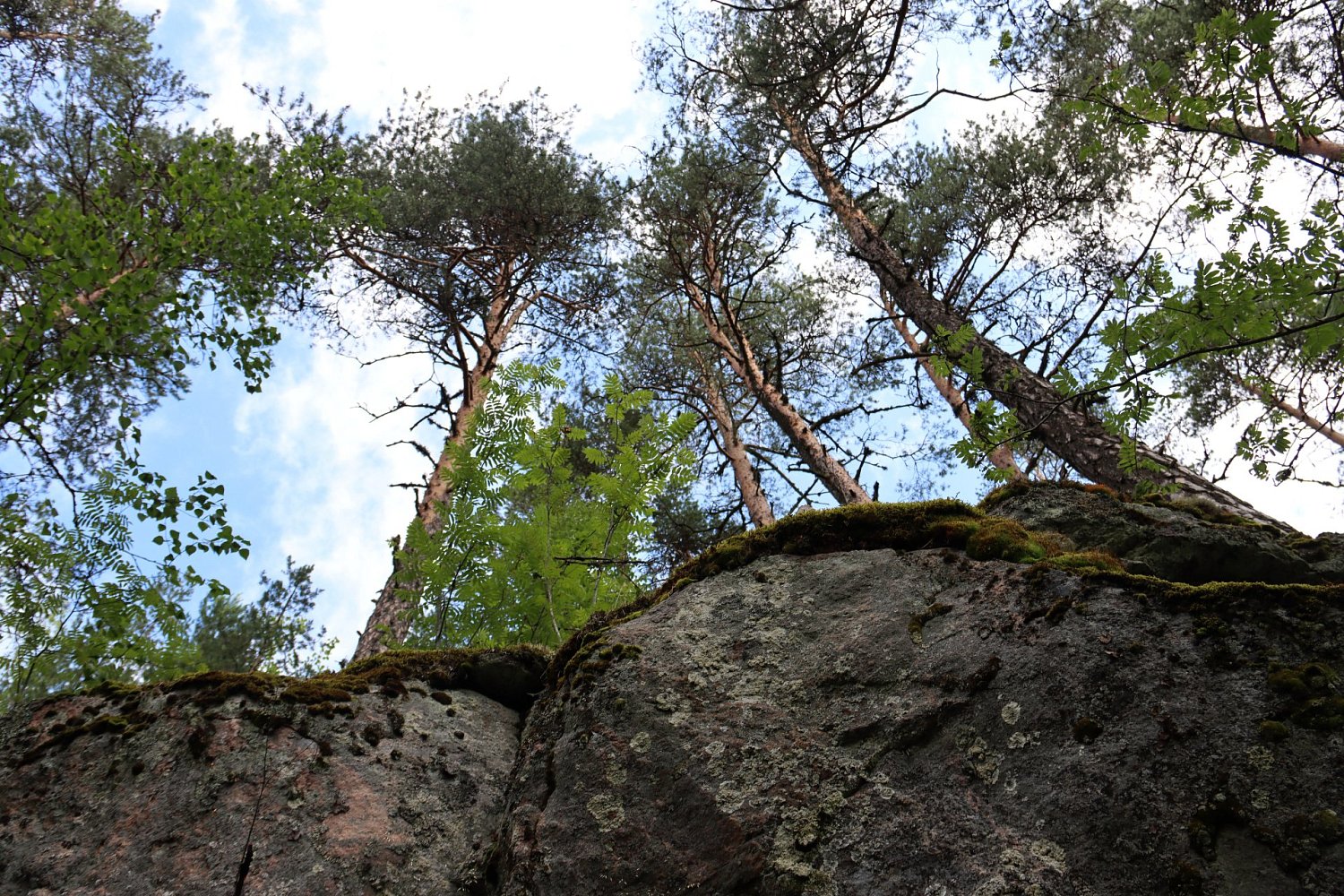 Туристский маршрут «Змеиная гора»
