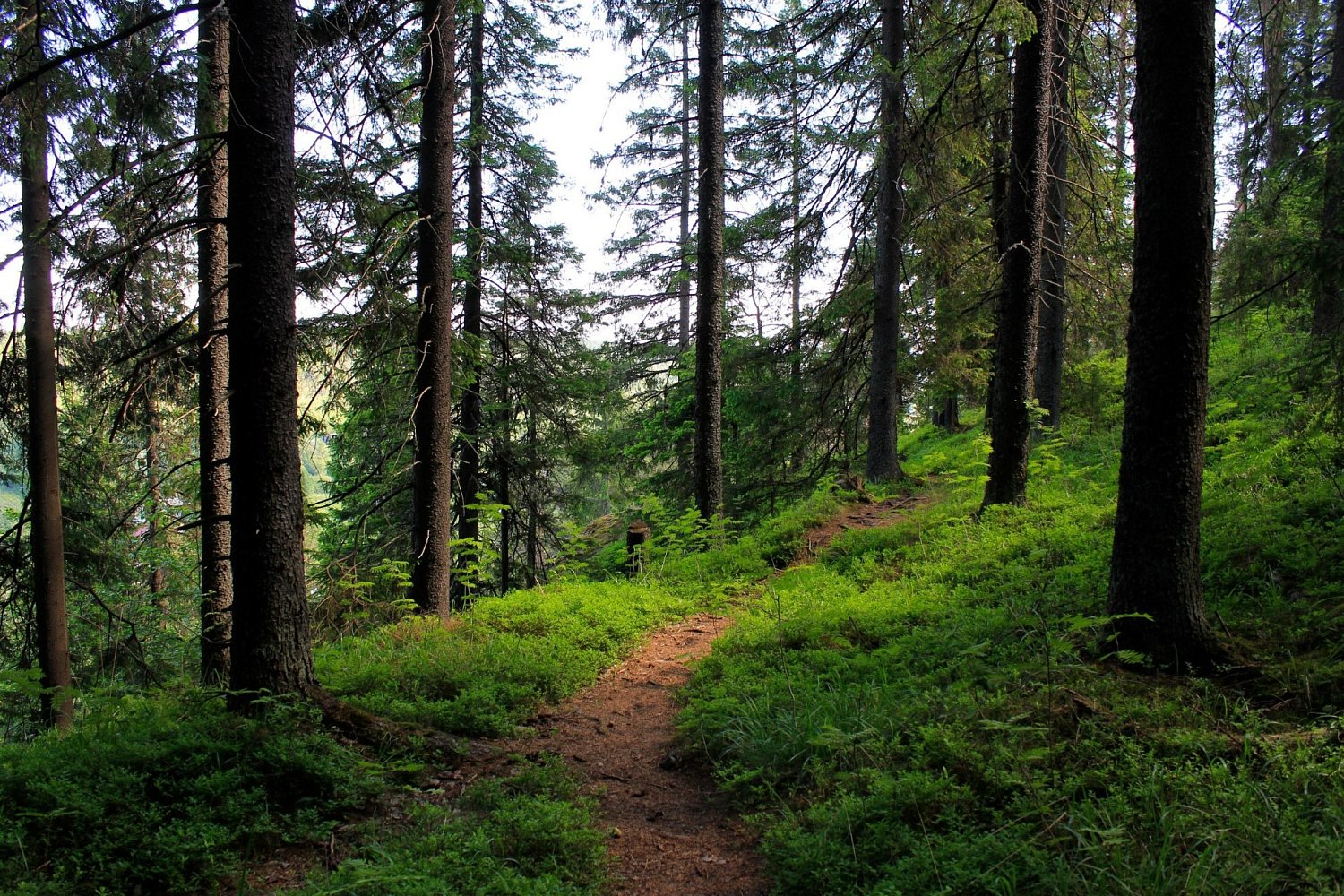 Туристский маршрут «Хийденвуори»