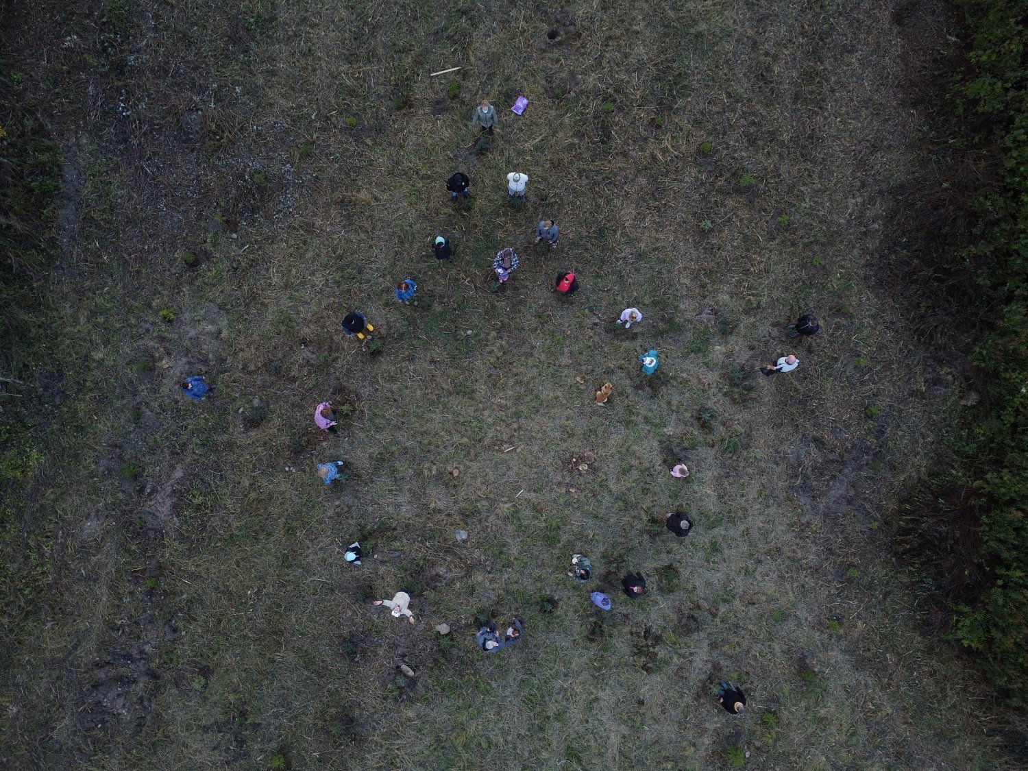 Экологопатриотический проект «Сад памяти»  в Хухтерву
