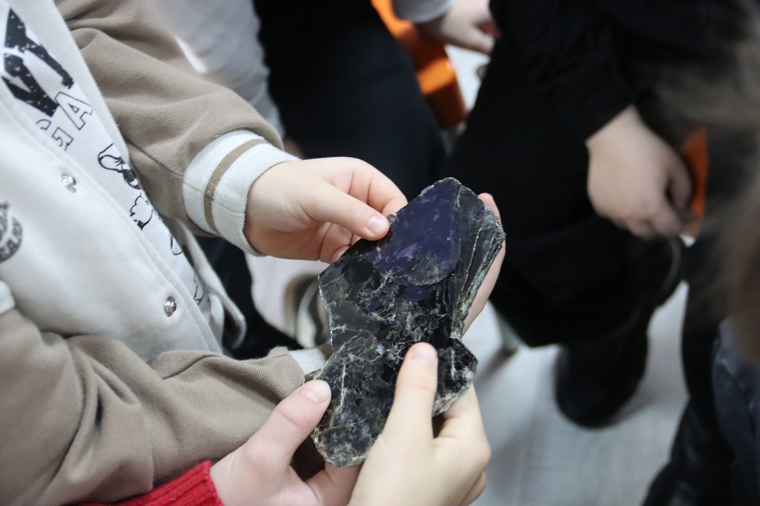 Цикл инфоуроков для школьников начального звена