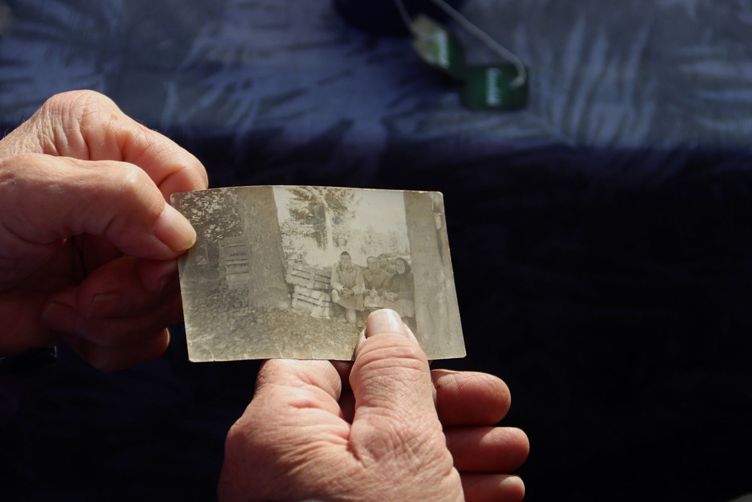 Экологопатриотический проект «Сад памяти»  в Хухтерву