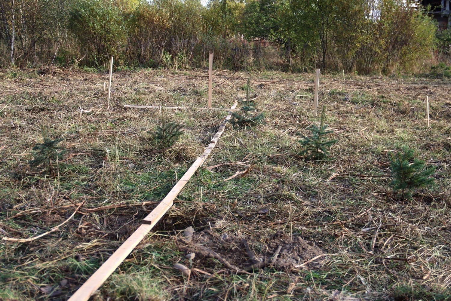 Экологопатриотический проект «Сад памяти»  в Хухтерву