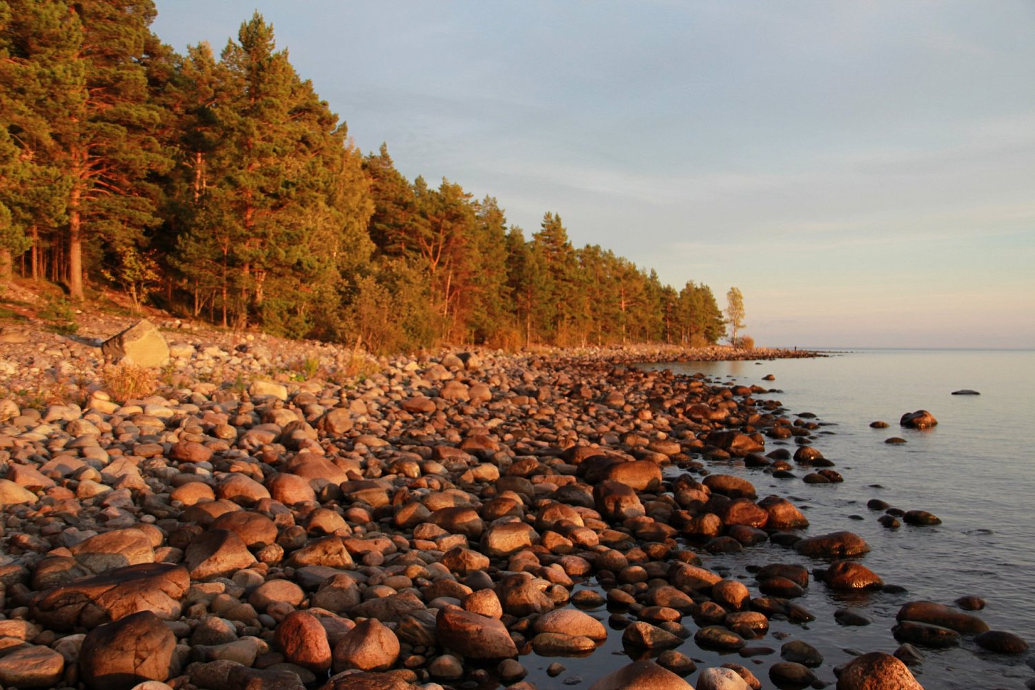 Туристский маршрут «Райский остров Койонсаари»