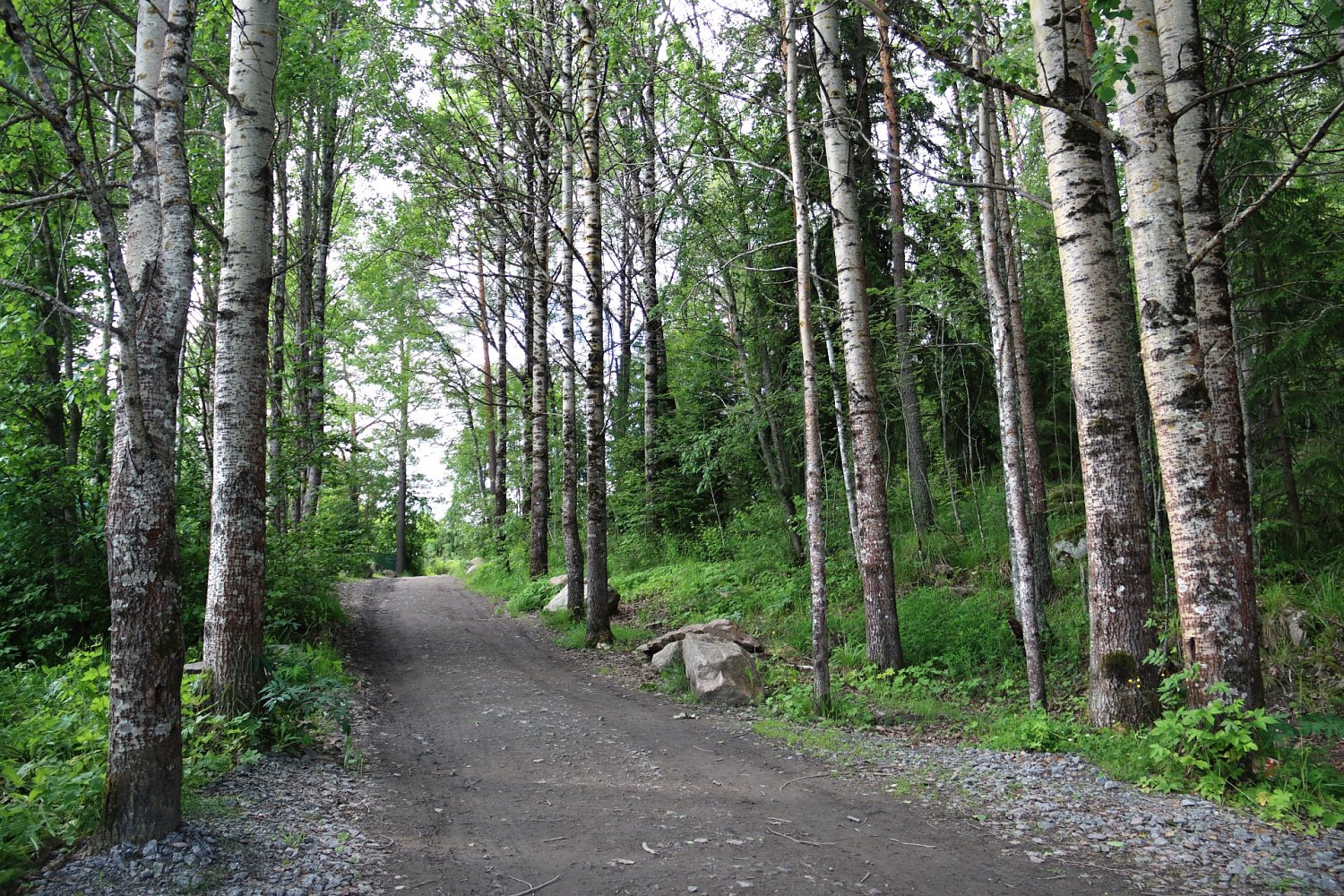 Скальный парк «Змеиная гора» для практического ознакомления и отработки навыков скального лазания