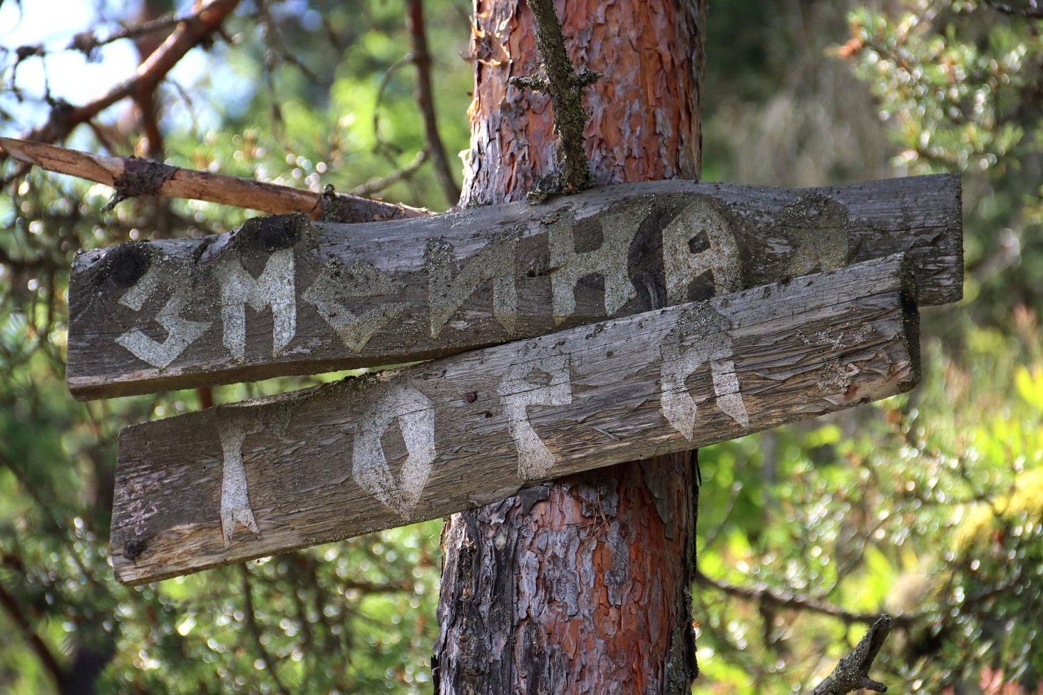 Скальный парк «Змеиная гора» для практического ознакомления и отработки навыков скального лазания