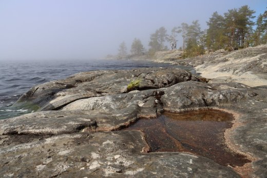Экскурсия «Райский остров Койонсаари»