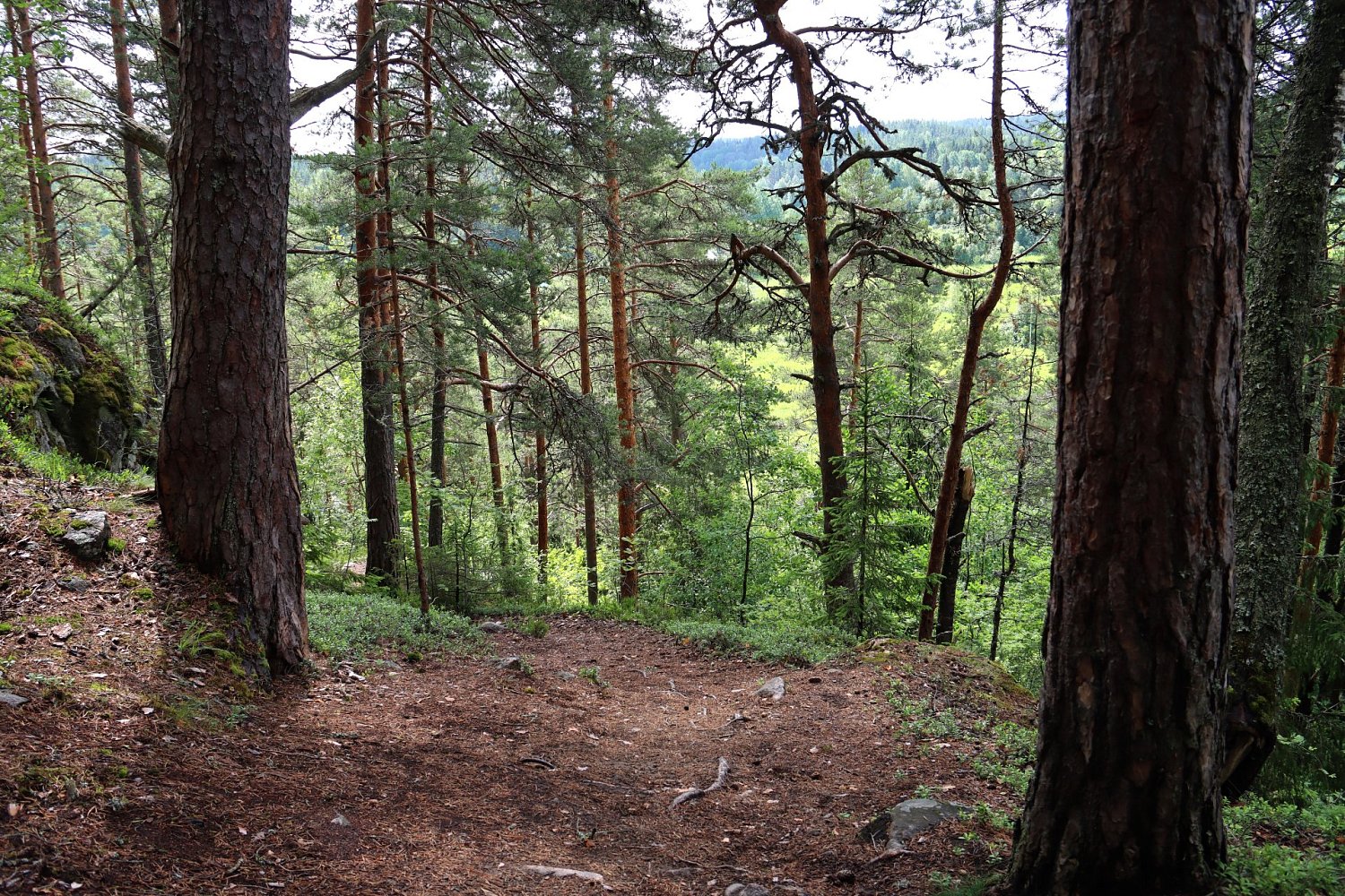 Туристский маршрут «Змеиная гора»