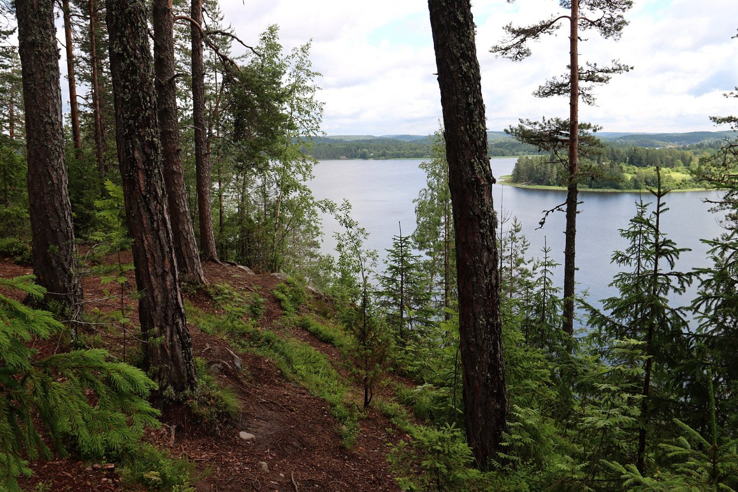 Туристский маршрут «Змеиная гора»