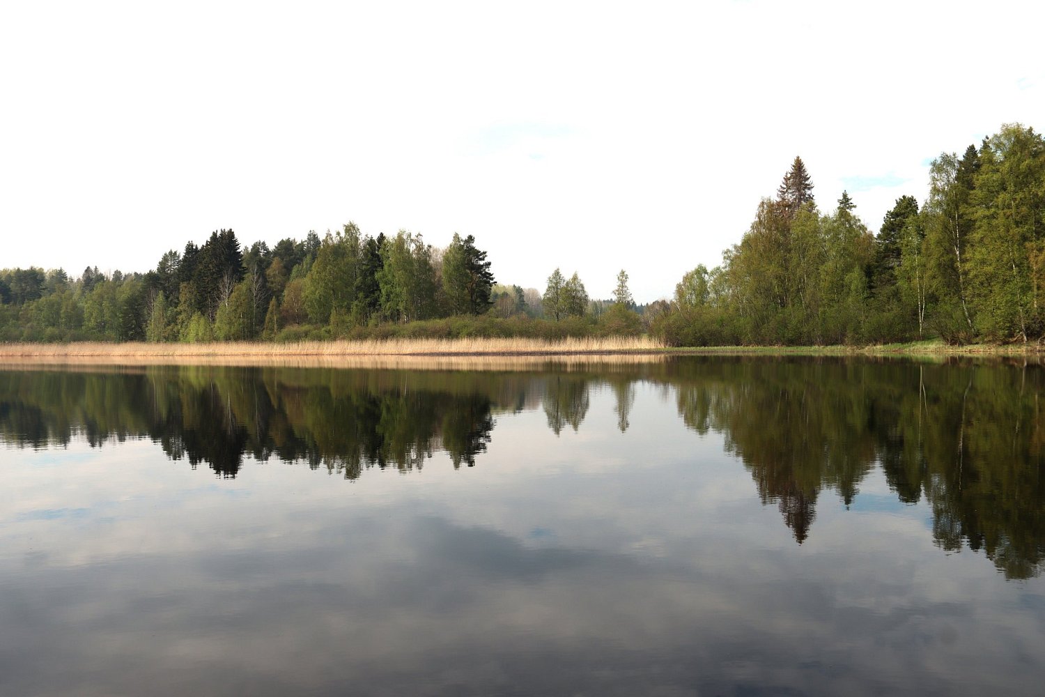 Остров Хонкасало