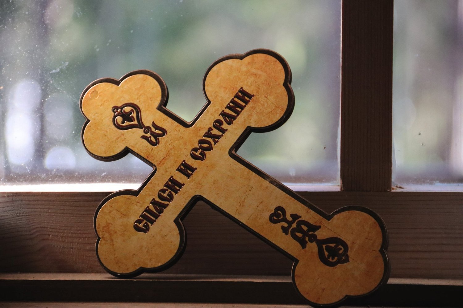 Экологическая тропа «Северная Фиваида»