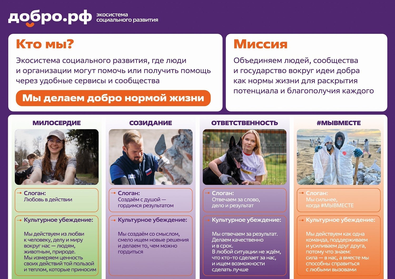 Хочешь стать волонтёром и помогать природе? У тебя есть отличная возможность!