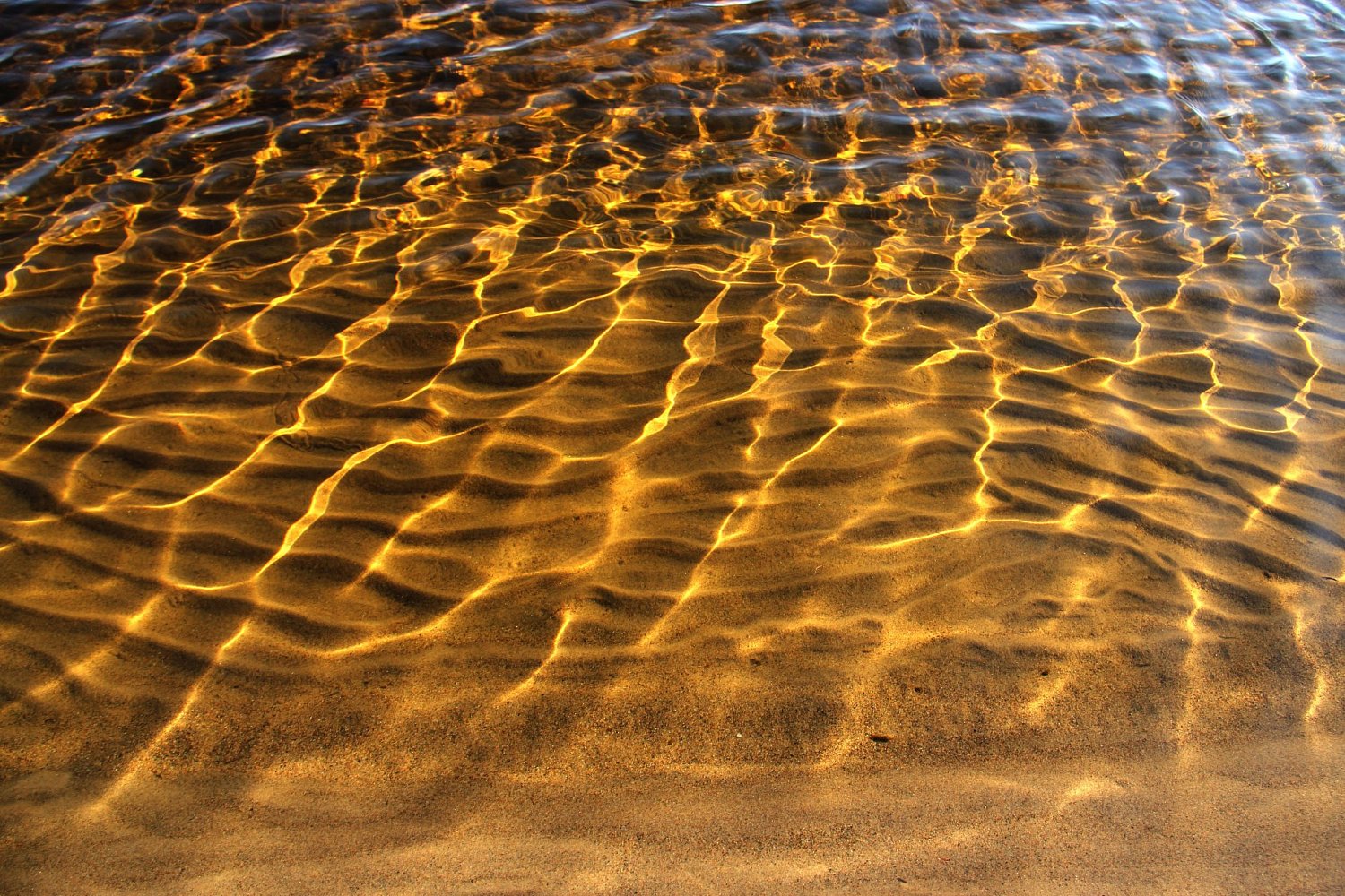 Туристский маршрут «Райский остров Койонсаари»