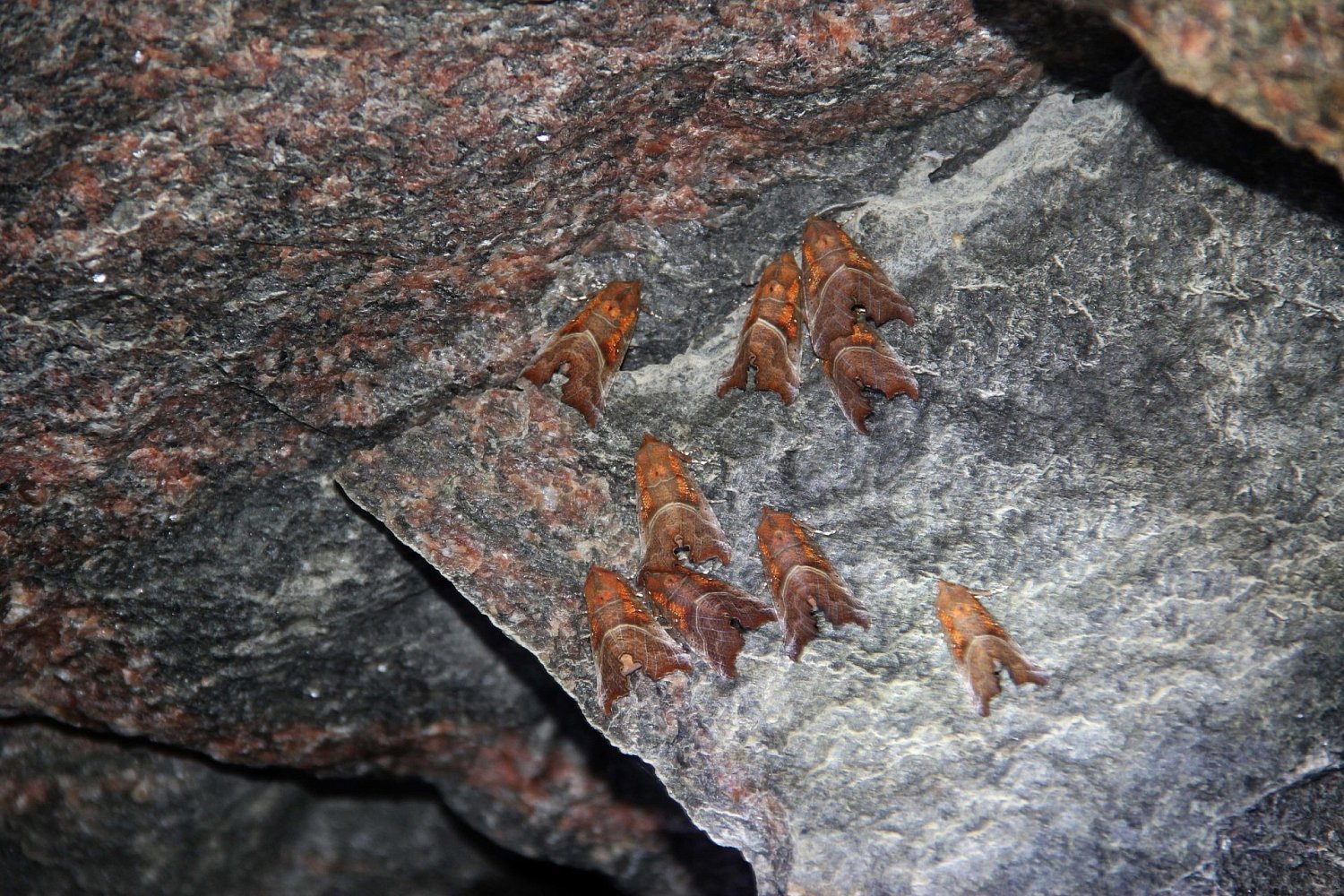 Туристский маршрут «Хийденвуори»