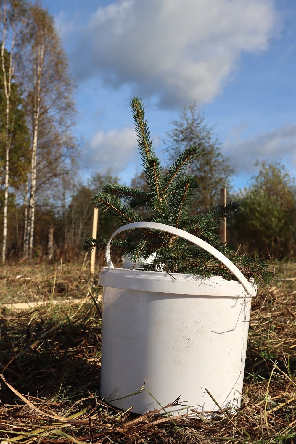 Экологопатриотический проект «Сад памяти»  в Хухтерву