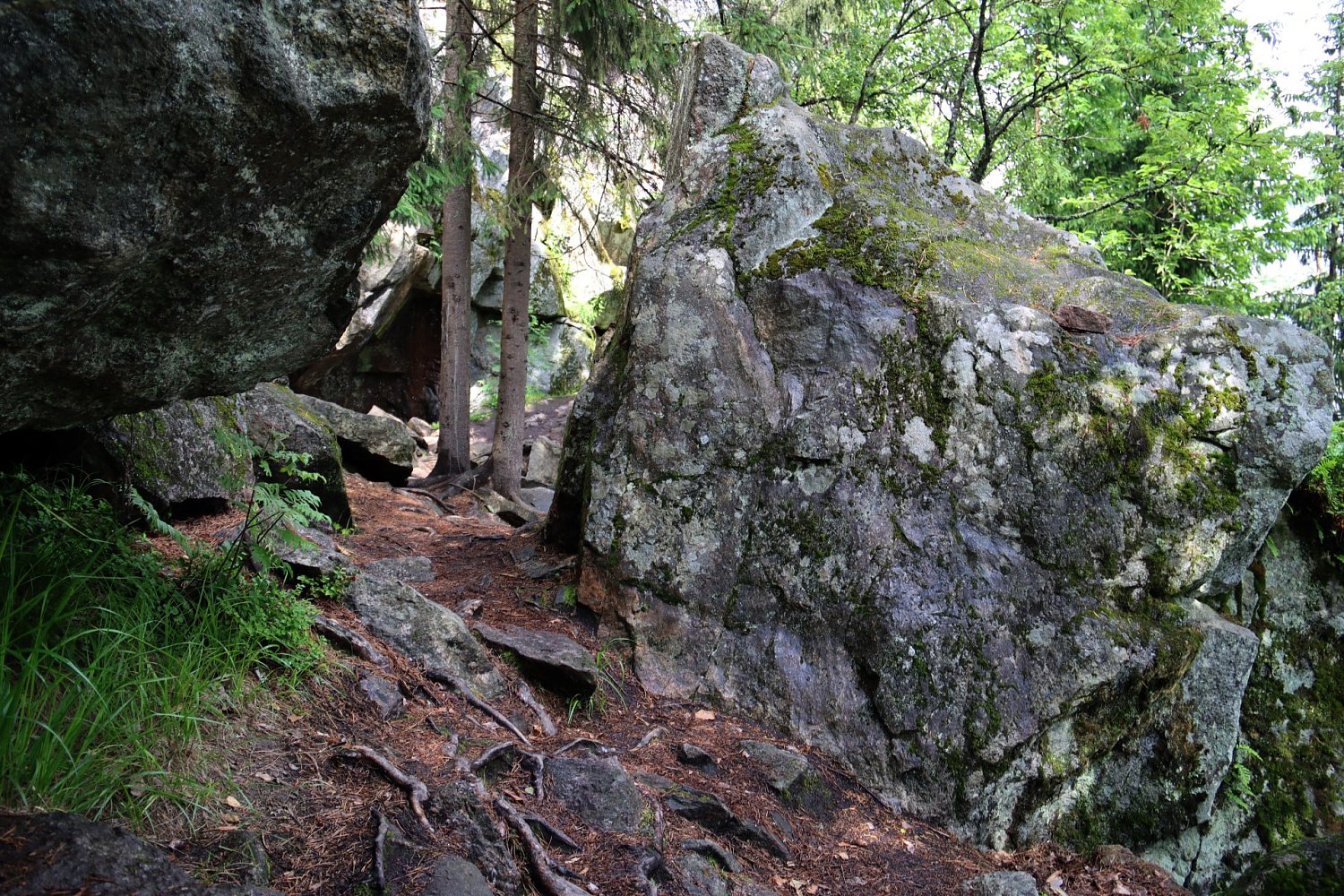 Туристский маршрут «Змеиная гора»
