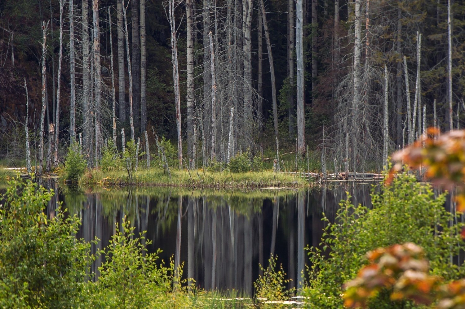 Национальный парк "Ладожские шхеры". Автор фото: Виктория Нарчук