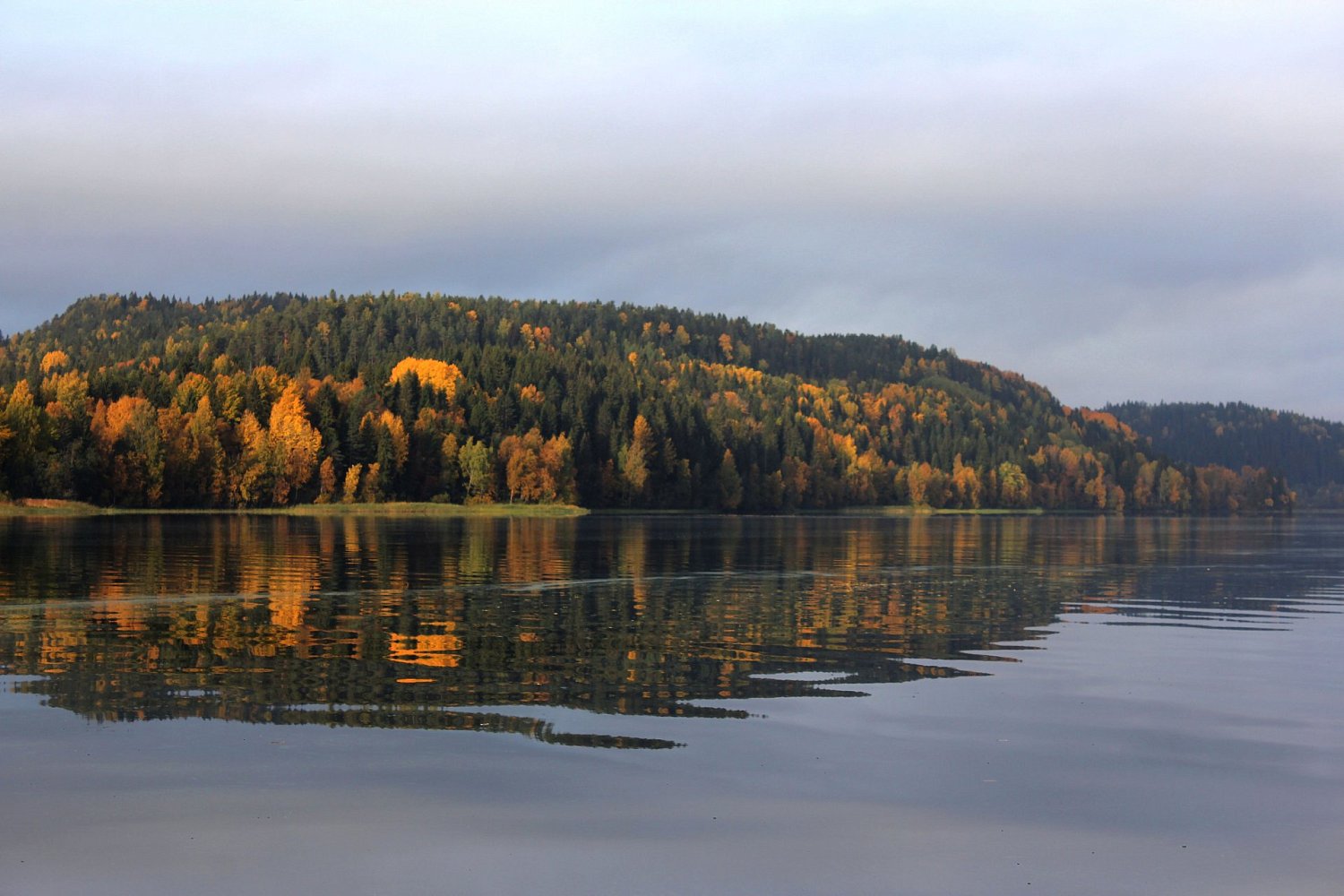 Экологическая тропа «Вдохновение»