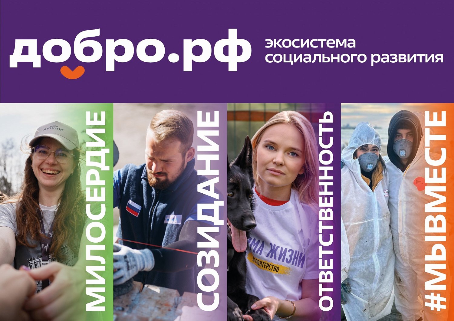 Хочешь стать волонтёром и помогать природе? У тебя есть отличная возможность!