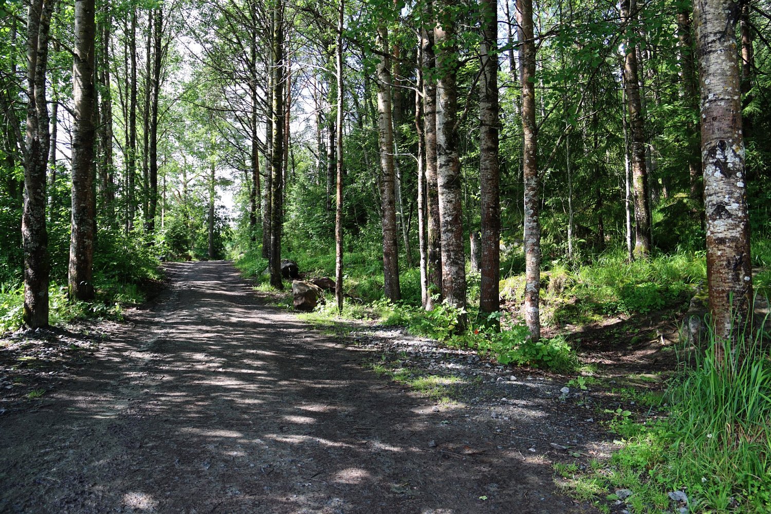 Туристский маршрут «Змеиная гора»