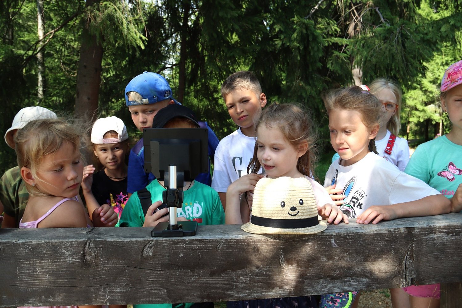 Ботаническая экскурсия в парке "Ваккосалми"