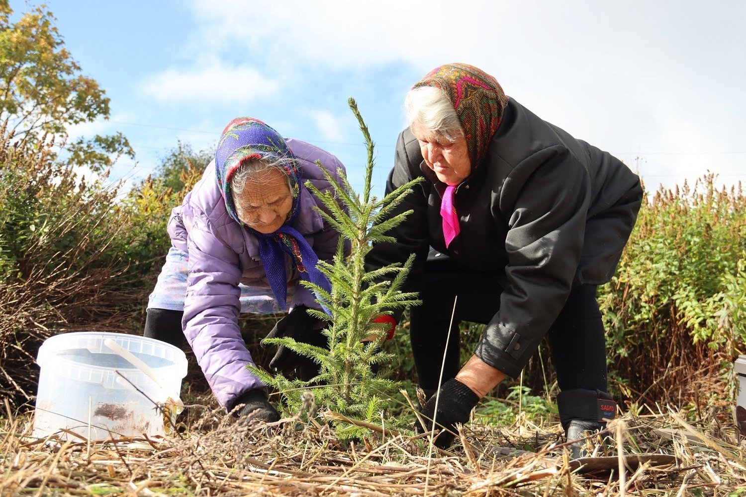 Экологопатриотический проект «Сад памяти»  в Хухтерву